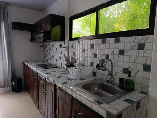 a kitchen with a sink and two windows at Villas Ande in Puerto Viejo