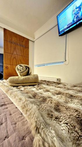 a room with a bed with a rug on it at Beautiful Independent House in Punta Arenas