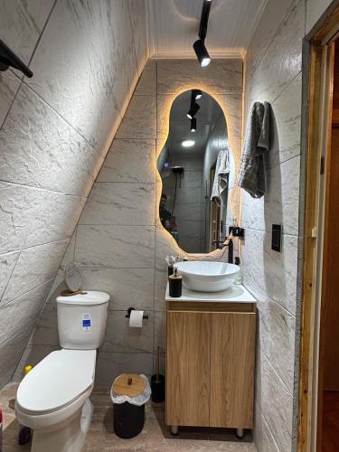 a bathroom with a toilet a sink and a mirror at Cabañas The Twins in Medellín