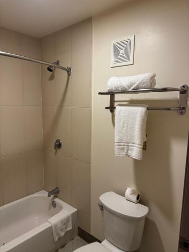 a bathroom with a toilet and a tub and a sink at Spring Water Hotel & Suites in Cuauhtémoc