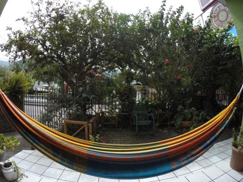 a hammock in a garden with trees and a fence at Hostal & Spa Casa Real in Baños