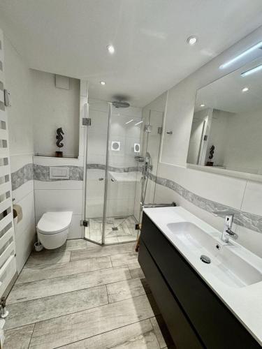 a bathroom with a shower and a toilet and a sink at Achtern-Diek-1 in Brösum