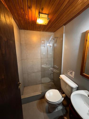 a bathroom with a shower and a toilet and a sink at Prisamata in Salta