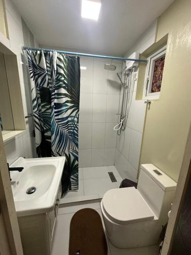 a bathroom with a shower and a toilet and a sink at Curasita Colour Appartments & Resort - adres kaya Sucre nst 282 in Willemstad