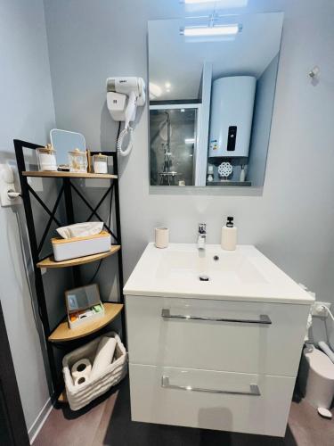 a bathroom with a white sink and a mirror at Le Stud in Vandoeuvre-lès-Nancy