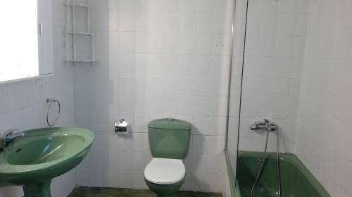 a bathroom with a green toilet and a sink at Entre els pirineus in La Seu d'Urgell