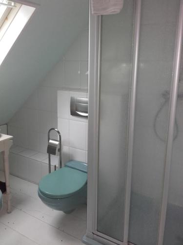 een badkamer met een blauw toilet en een douche bij De Oude Smederij in Noord-Sleen