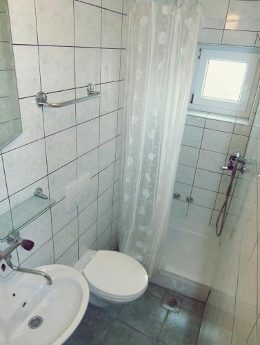 a bathroom with a toilet and a shower and a sink at Panorama Apartments in Povljana