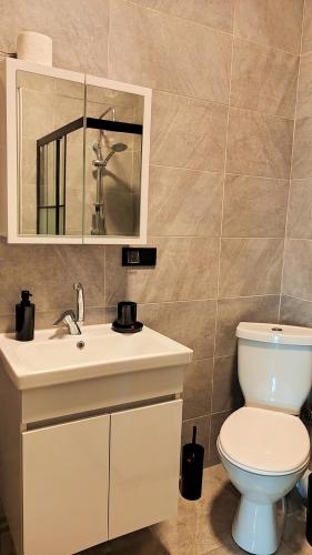 a bathroom with a toilet and a sink at Lemon Garden in Antalya