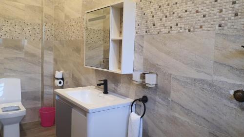 a bathroom with a sink and a toilet at OLOIRIEN HOTEL & RESORT in Narok