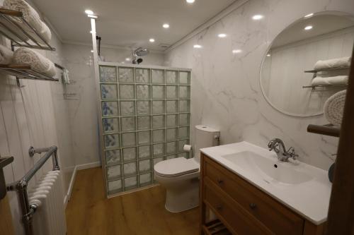 a bathroom with a toilet and a sink and a mirror at The Monet in Châteauneuf-sur-Charente