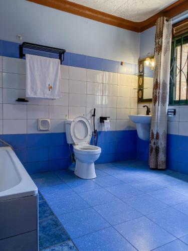 a blue and white bathroom with a toilet and a sink at Royal Lake View Gardens in Kampala