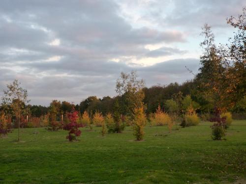 a field with trees in the middle of a field at La SERPAUDERIE in Saint-André-de-Lidon