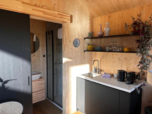 a kitchen with a sink and a counter top at De Buitenkamer in Rijssen