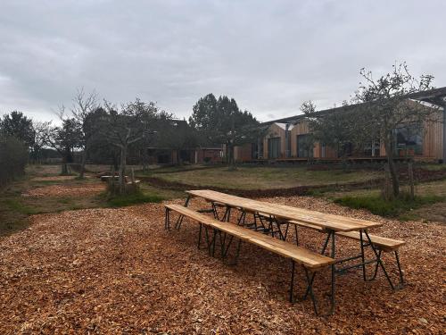 two picnic tables in a field with houses in the background at Natuurhuis Bes in Rijssen