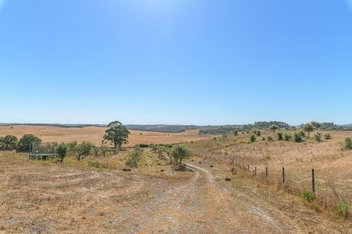 a dirt road in the middle of a field at mount of the two paths in Santiago do Cacém