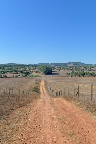 a dirt road in a field with a fence at mount of the two paths in Santiago do Cacém