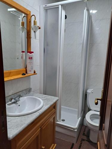 a bathroom with a shower and a sink and a toilet at Pensión Castro Parrillada in Samos
