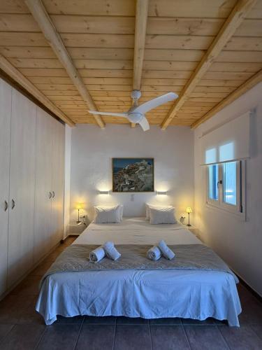 Astra Mykonos
