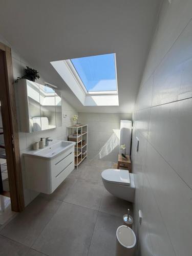 a bathroom with a toilet and a sink and a skylight at Apartman Moonlight Medulin in Medulin