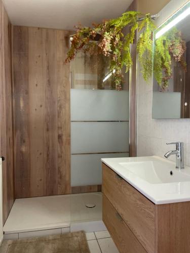 a bathroom with a sink and a shower and a mirror at Agréable bastide provençale avec piscine in Barcelonne