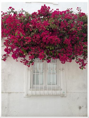 a window with pink flowers on a white wall at Casa Opala Townhouse met Rooftop Pool in Olhão