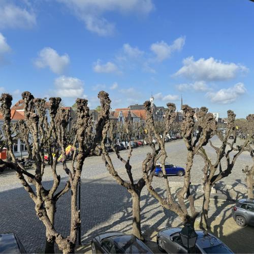 a row of trees in a parking lot with cars at Inn de Vijf Sinnen in Geertruidenberg