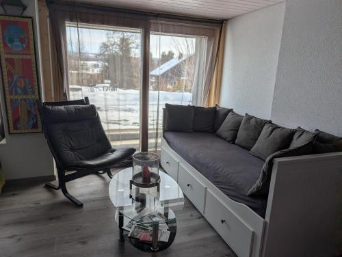 a living room with a couch and a glass table at Magnifique studio de plain-pied in La Chaux-de-Fonds