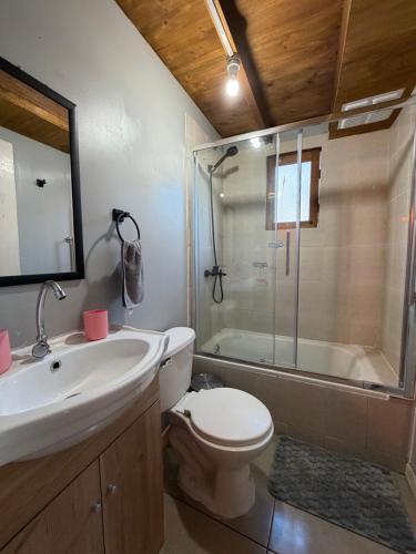a bathroom with a toilet and a sink and a shower at Cabaña Amancay Fuy in Puerto Fuy