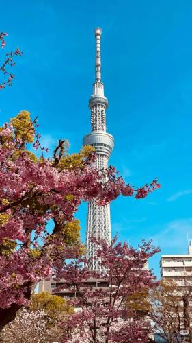 ＴｓGarden東京スカイツリー