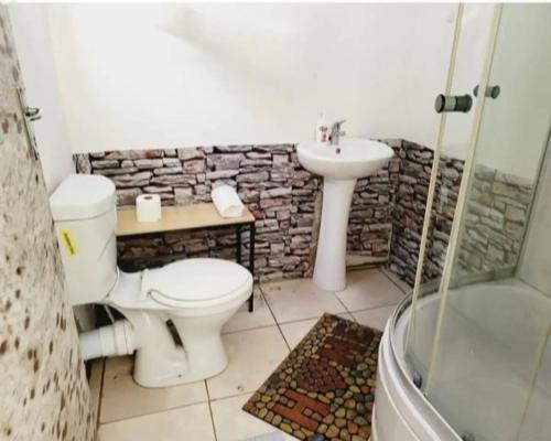 a bathroom with a toilet and a sink and a shower at Ayjalon Guest Home in Ludeke