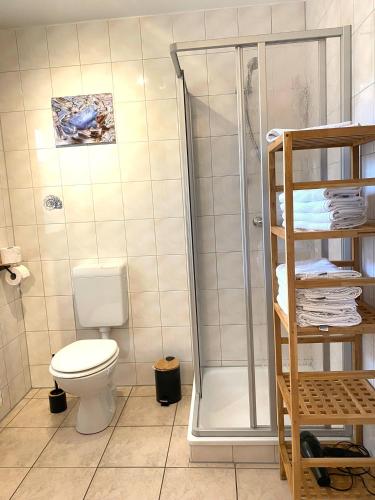 a bathroom with a shower and a toilet in it at Ferienhaus VogelMeer in Marlow