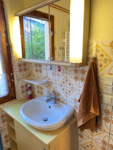 a bathroom with a sink and a mirror at Ferienwohnung Graureiher in Marlow