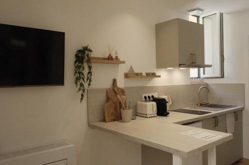 Petite fleur - Studio Vieil Antibes-Plage à 5 min