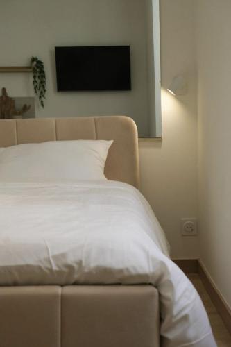 Petite fleur - Studio Vieil Antibes-Plage à 5 min
