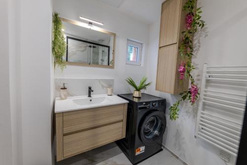a bathroom with a washing machine next to a sink at TEMPLE JACQUESSON - Gare - Centre ville - WIFI RAPIDE et STREAMING - PARKING GRATUIT - CHECK IN 24H - CLIMATISATION - IDEAL PROS - cour privée - barbecue in Chalons en Champagne