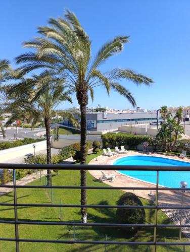 Sunny Balcony Apartment