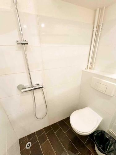 Comfortable apartments in the city center
