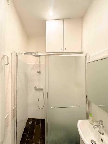 Comfortable apartments in the city center