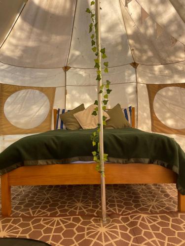 a bed in a tent with a plant on it at The Warren, Hot Tub and wood burning stove in Brackley