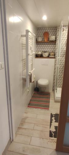 a small bathroom with a toilet and a rug at La belle étape in Montbrison