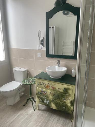 a bathroom with a sink and a toilet and a mirror at couleurs d'ici in Fleurance