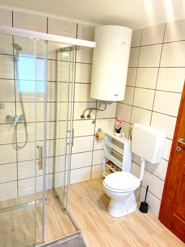 a bathroom with a toilet and a glass shower at Báránykő Apartman in Pásztó