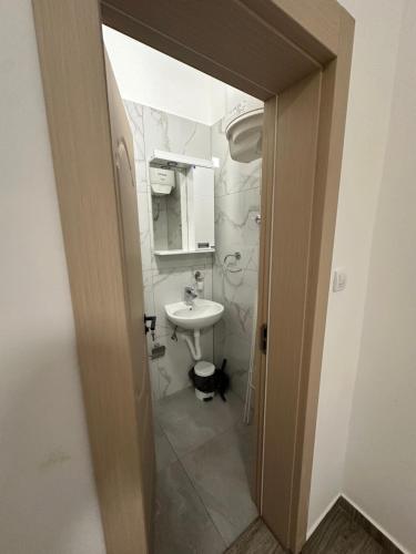 a bathroom with a sink and a toilet and a mirror at Apartman Milanović in Pribojska Banja