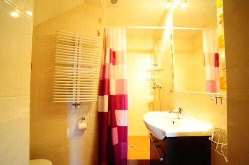 a bathroom with a sink and a mirror and a shower at Przystań Jaskółka in Ruciane-Nida