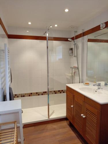 a bathroom with a shower and a sink at Gite Ti Maen in Sulniac