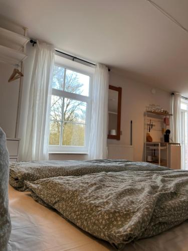 a bedroom with a bed and a large window at Rinkenæshus Das Grosses Zimmer in Gråsten