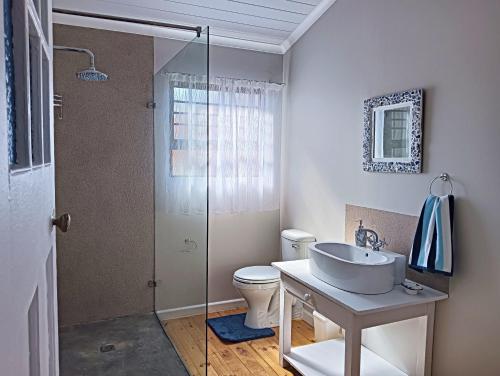 a bathroom with a toilet and a sink and a shower at Beach Walk by Salted Fynbos Staying in Pearly Beach