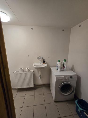 a bathroom with a washing machine and a sink at Pod modříny in Adršpach