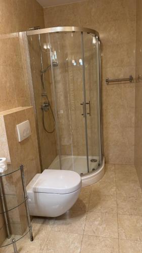 a bathroom with a shower and a toilet in it at Floryda in Jurata